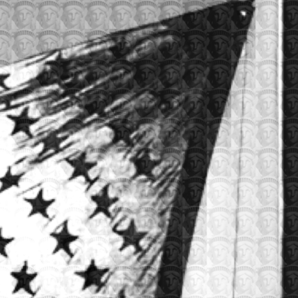 Flag Vs. Liberty